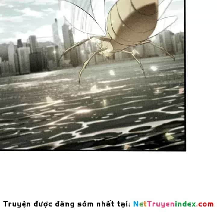 Ta Học Trảm Thần Trong Bệnh Viện Tâm Thần - Chương 313 - ảnh 46