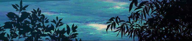 Ta Không Phải Nhân Vật Phản Diện - Chương 30 - ảnh 27
