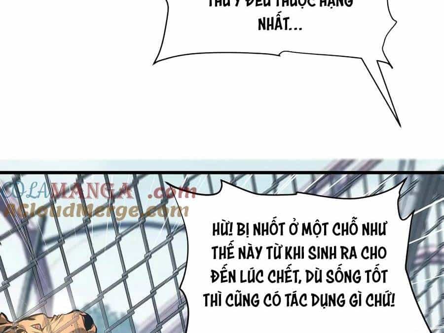 Ta Là Boss Mạnh - Chương 25 - ảnh 17