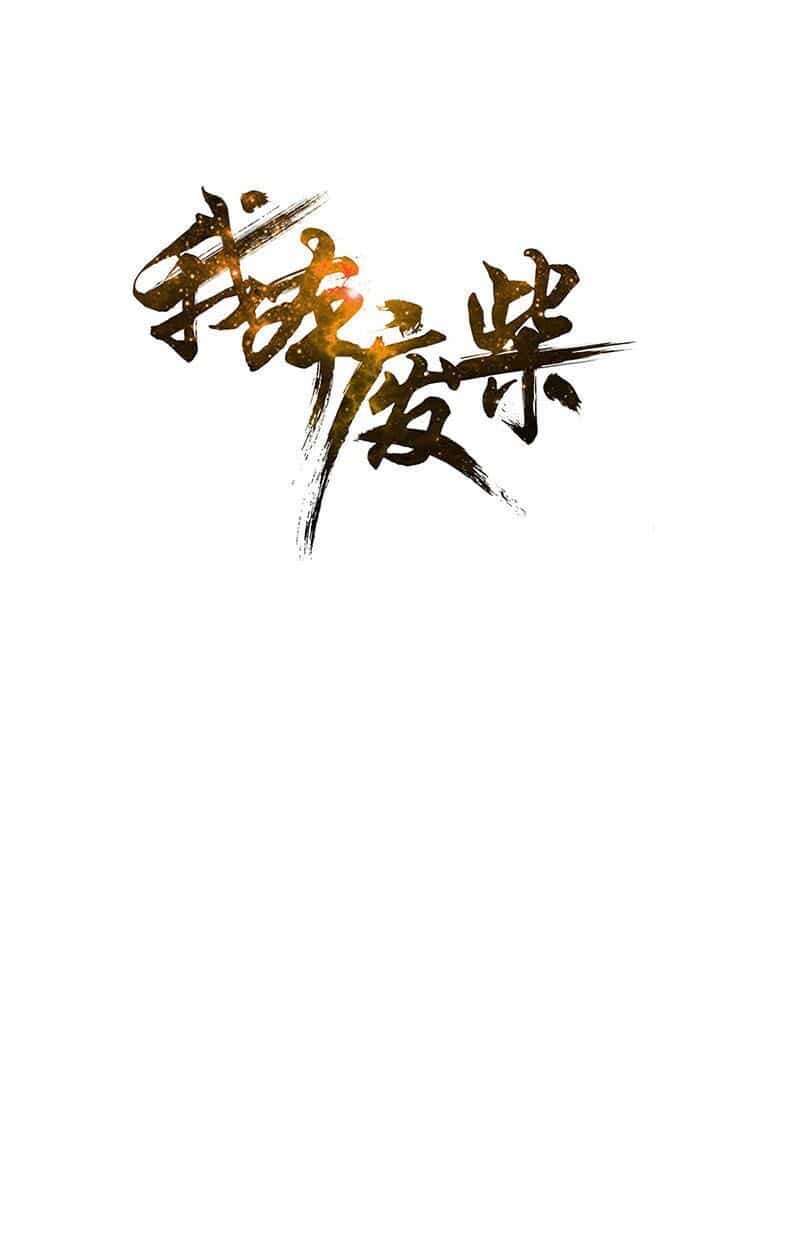 Ta Là Phế Vật - Chương 200 - ảnh 1
