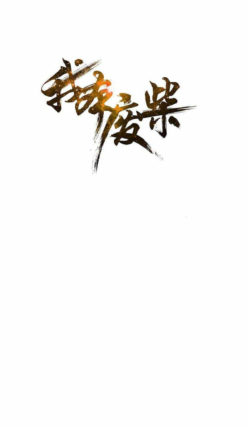 Ta Là Phế Vật - Chương 211 - ảnh 2