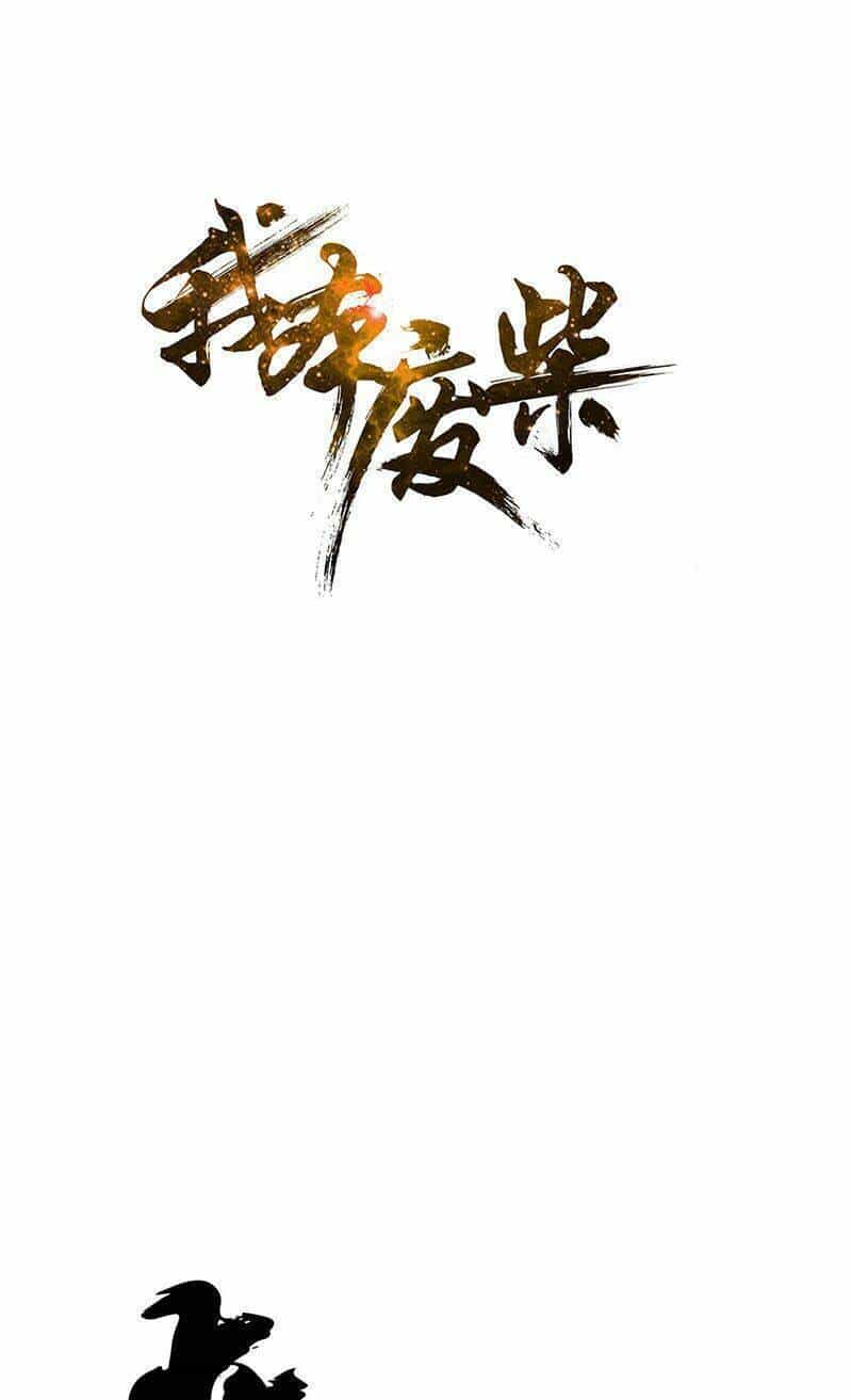 Ta Là Phế Vật - Chương 216 - ảnh 1