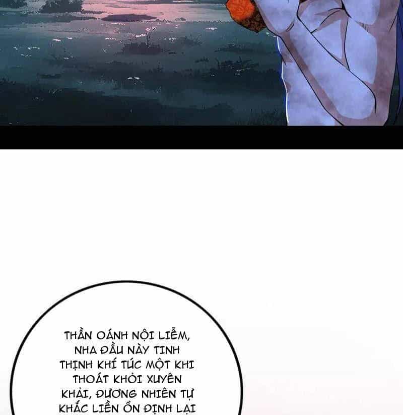 Ta Là Tà Đế - Chương 493 - ảnh 50