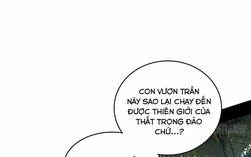 Ta Là Tà Đế - Chương 504 - ảnh 25