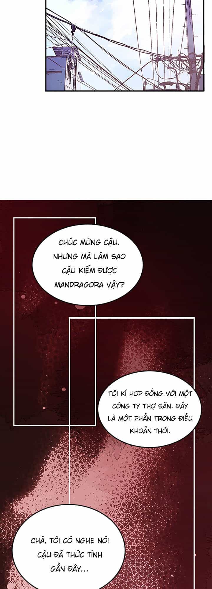 Ta Là Vua Pháp Sư - Chương 10 - ảnh 25