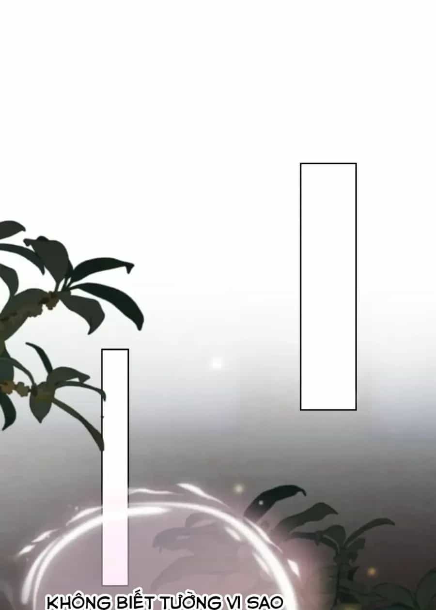 Ta Mang Siêu Thị Xuyên Không Về Cổ Đại Nuôi Tể Tướng - Chương 87 - ảnh 23