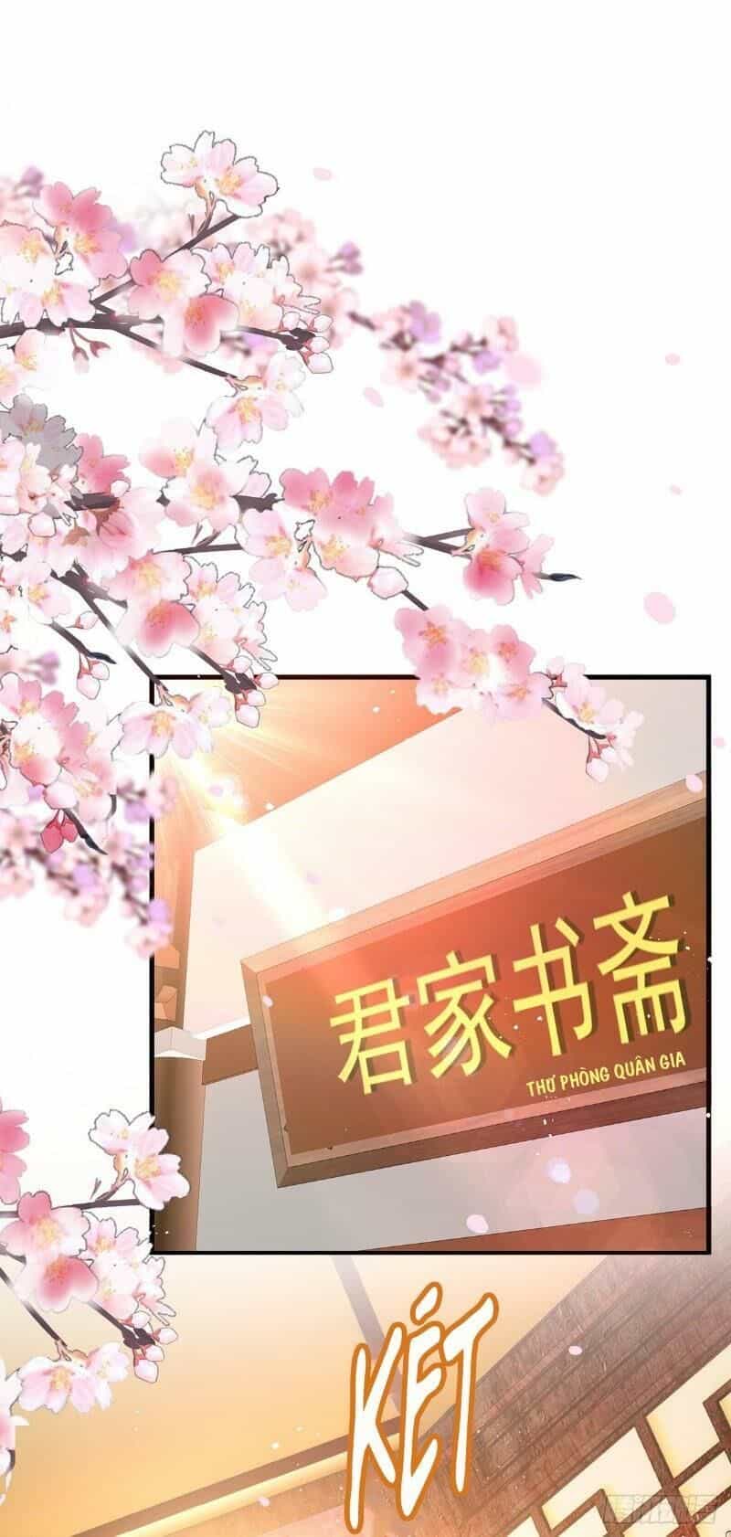 Ta Ở Dị Giới Nuôi Dưỡng Nam Thần: Thần Y Cửu Tiểu Thư - Chương 17 - ảnh 2