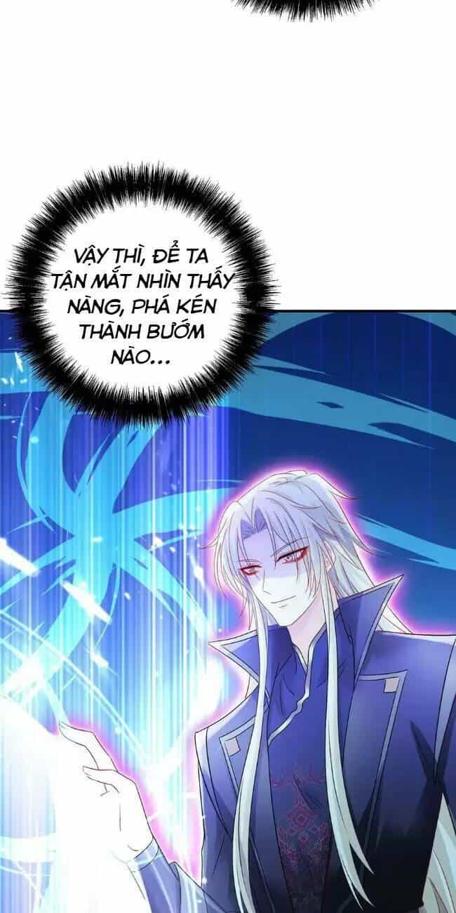 Ta Ở Dị Giới Nuôi Dưỡng Nam Thần: Thần Y Cửu Tiểu Thư - Chương 244 - ảnh 11