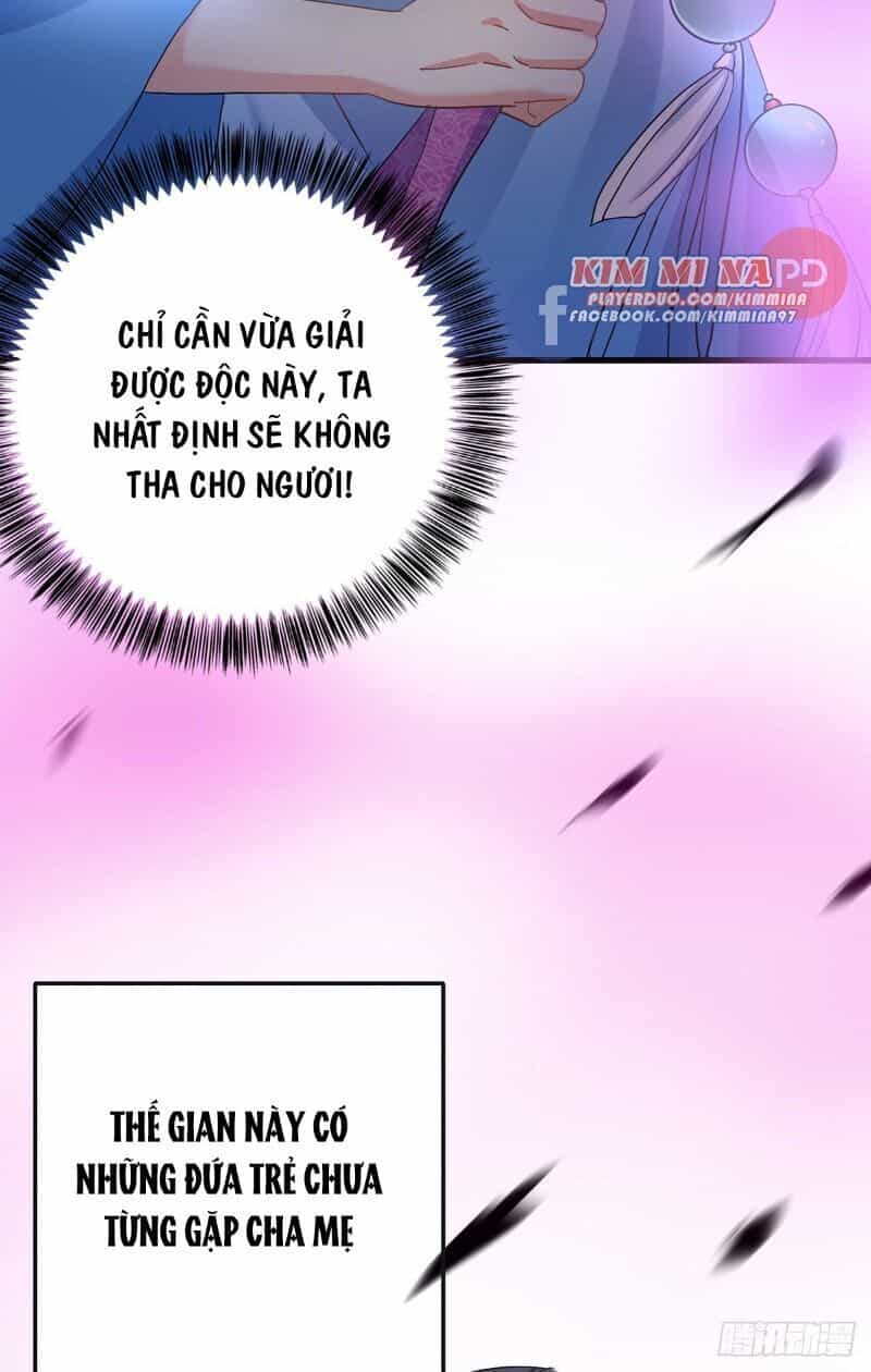 Ta Ở Dị Giới Nuôi Dưỡng Nam Thần: Thần Y Cửu Tiểu Thư - Chương 31 - ảnh 27