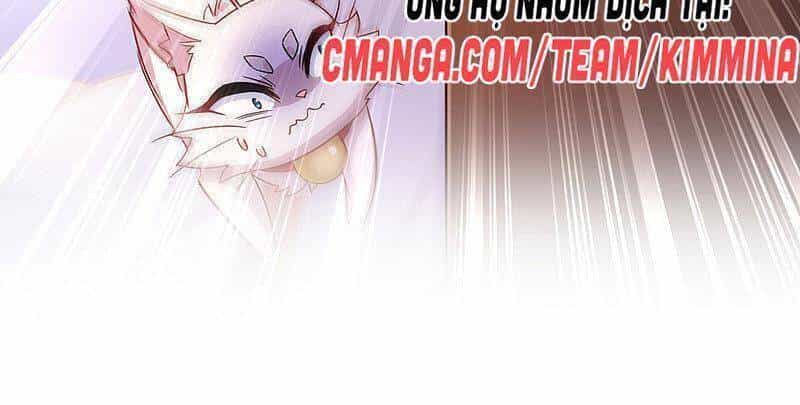 Ta Ở Dị Giới Nuôi Dưỡng Nam Thần: Thần Y Cửu Tiểu Thư - Chương 64 - ảnh 9