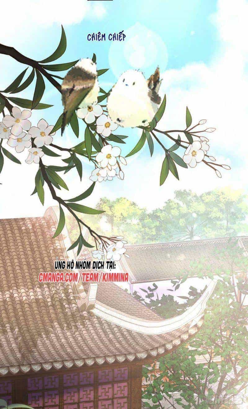 Ta Ở Dị Giới Nuôi Dưỡng Nam Thần: Thần Y Cửu Tiểu Thư - Chương 81 - ảnh 3