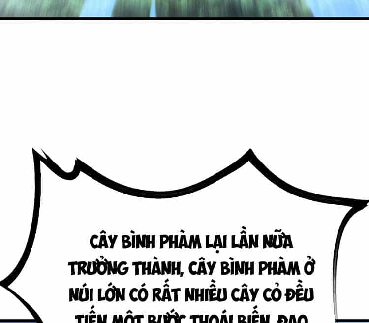 Ta Ở Nhà 100 Năm Khi Ra Ngoài Đã Vô Địch - Chương 124 - ảnh 17