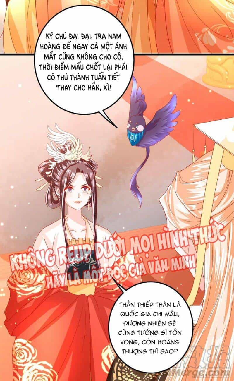 Ta Phải Làm Hoàng Hậu - Chương 31 - ảnh 29
