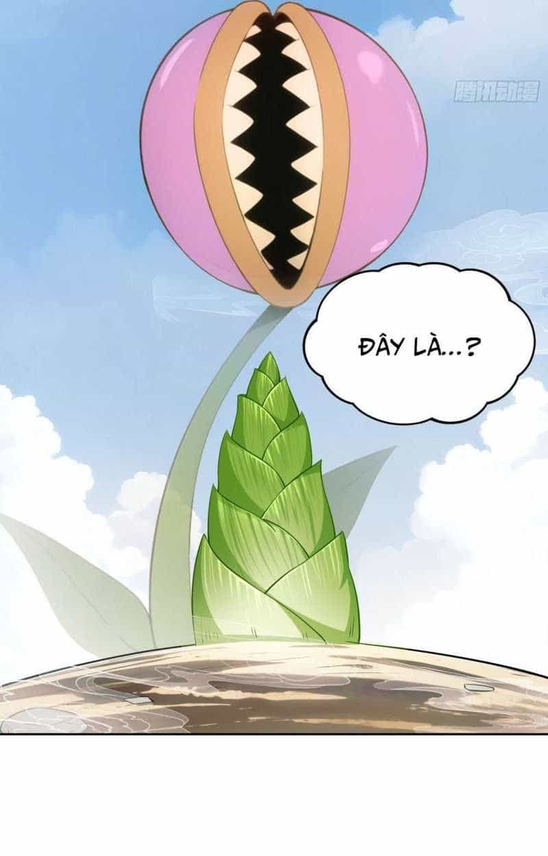 Ta Trở Thành Đối Tượng Sưu Tầm Của Hậu Cung Ở Dị Thế - Chương 1 - ảnh 17