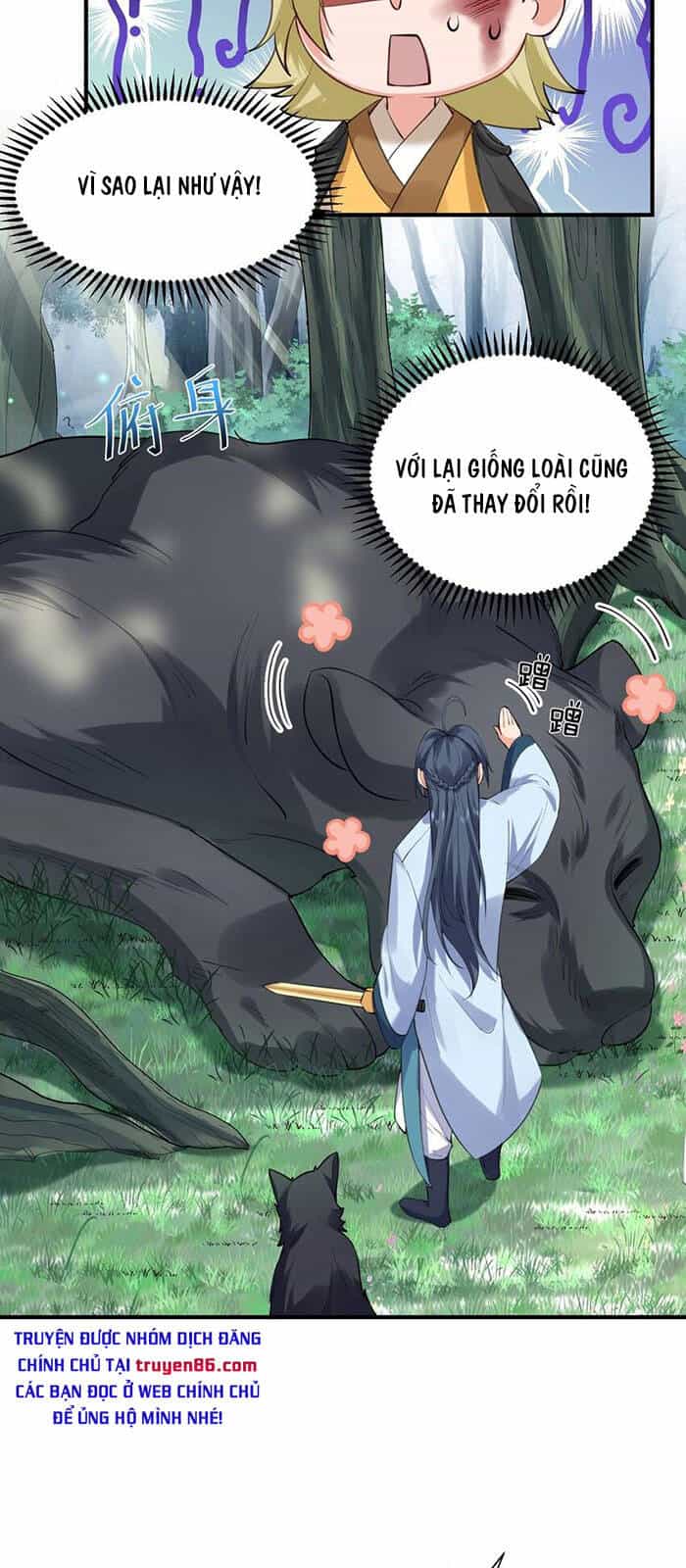 Ta Vô Địch Lúc Nào - Chương 62 - ảnh 10