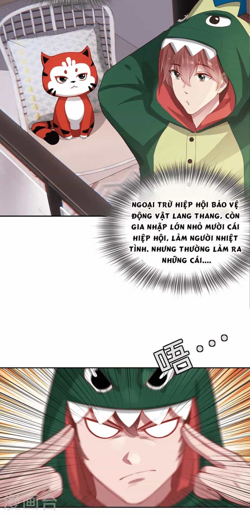 Ta Vốn Là Mèo - Chương 2 - ảnh 28