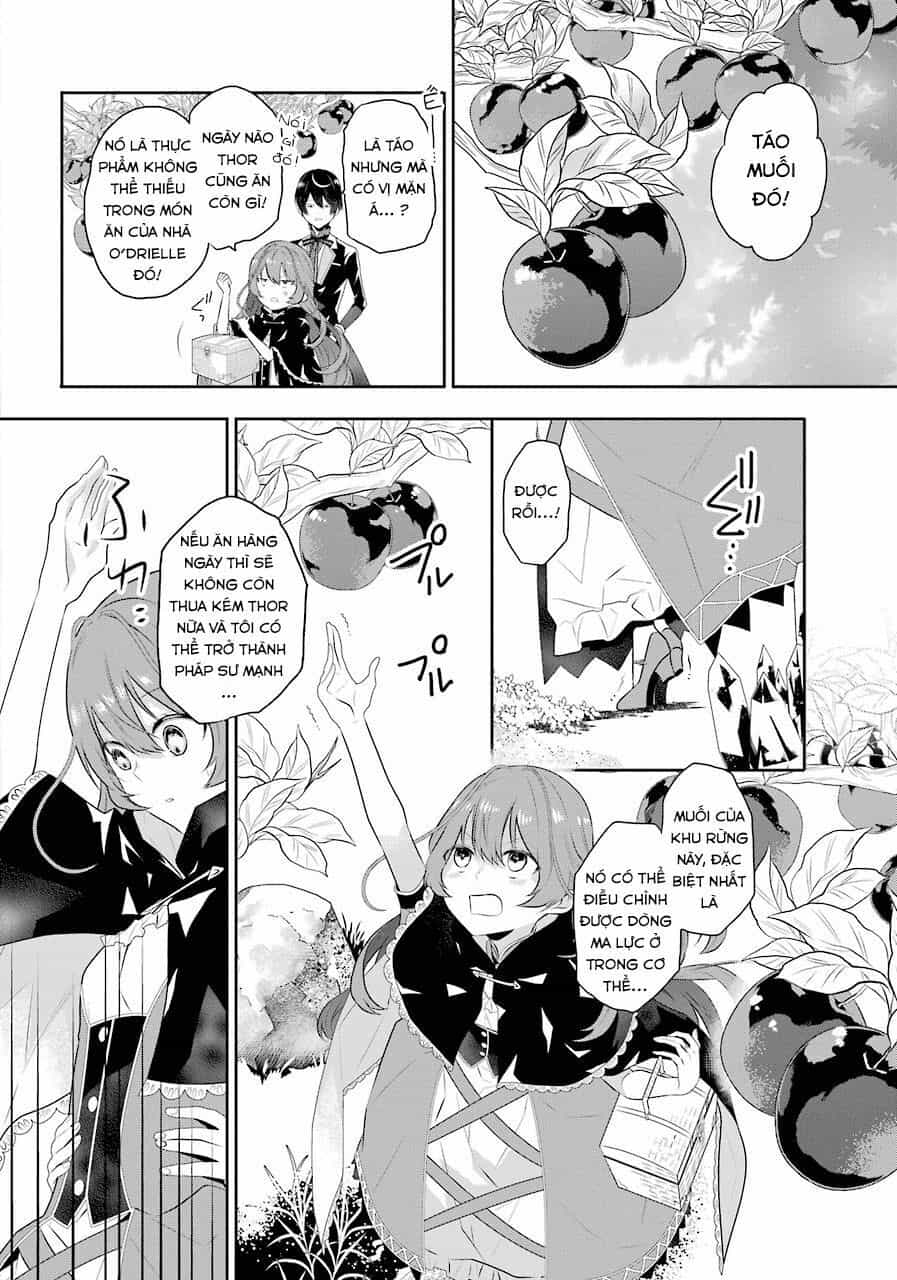 Tales Of Reincarnation In Maydare - Chương 2 - ảnh 13