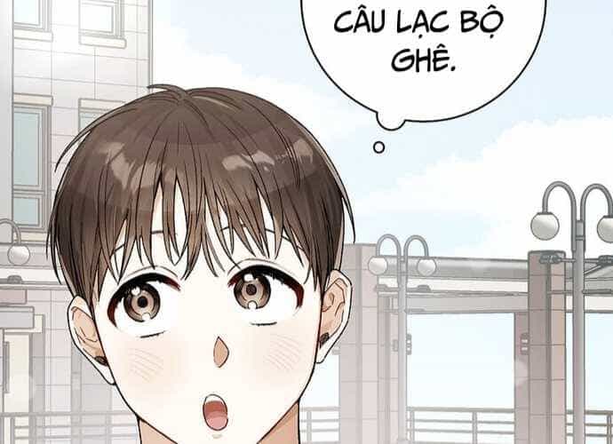 Tân Binh Triệu Đô - Chương 8 - ảnh 11