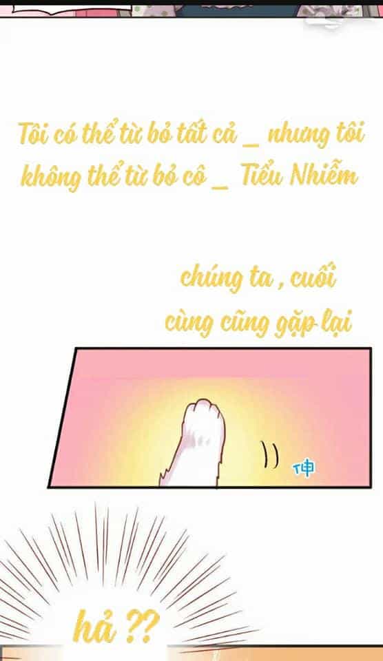 Tân Quang Thiên - Chương 11 - ảnh 4
