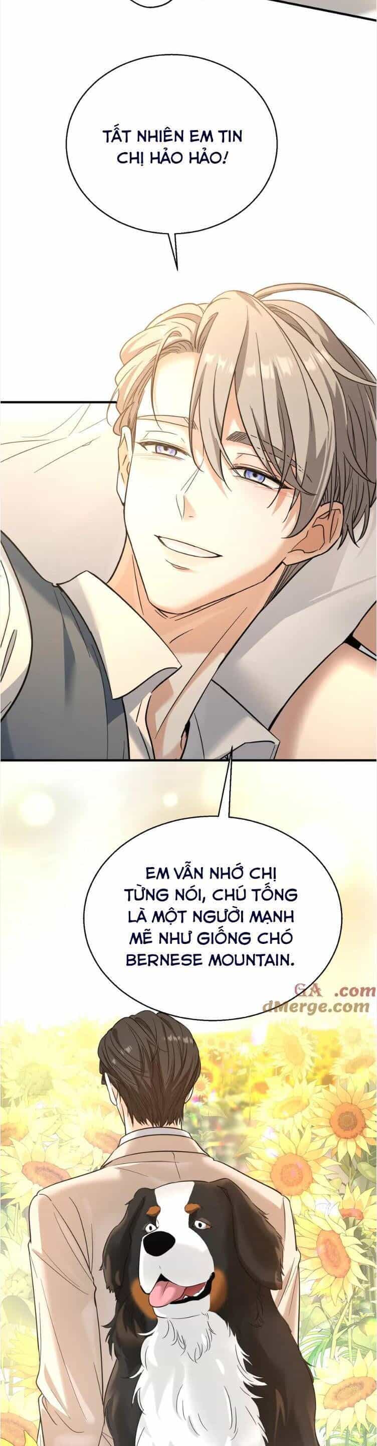 Tên Đàn Ông Này Thật Sự Là Một Tên Cẩu Mà - Chương 20 - ảnh 11