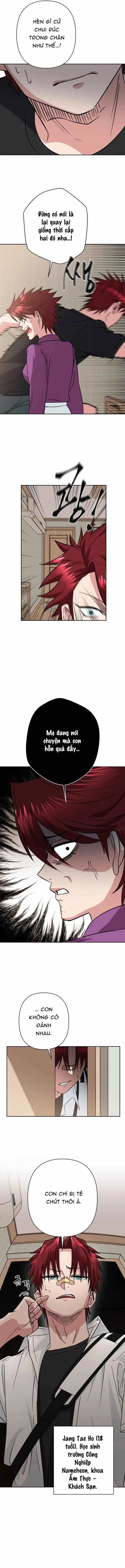 Tên Du Côn Và Tiểu Thư Xã Hội Đen - Chương 1 - ảnh 8