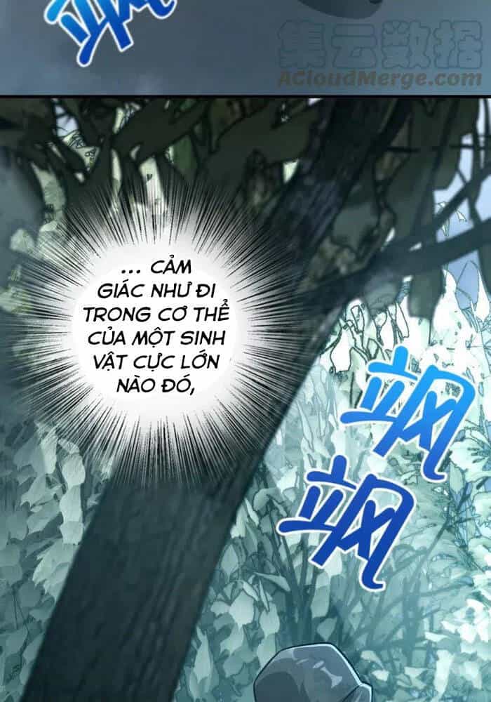 Thả Vu Nữ Đó Ra - Chương 228 - ảnh 14