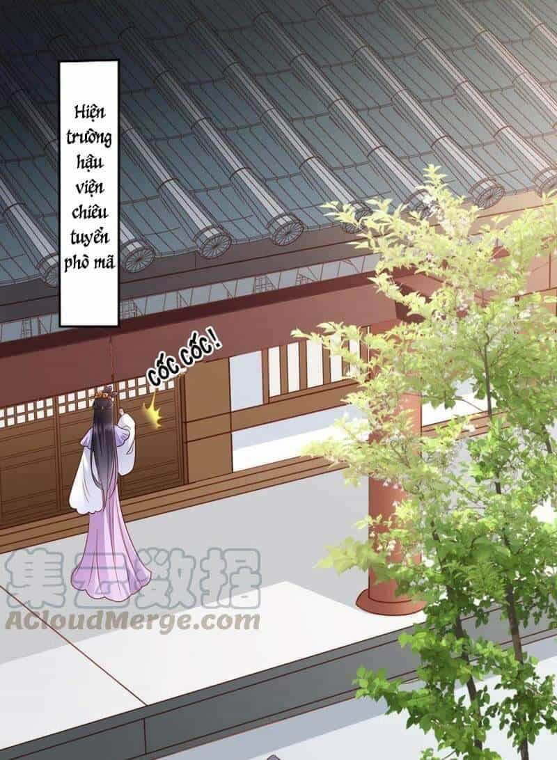 Thái Tử Điện Hạ Có Tin Vui - Chương 60 - ảnh 2