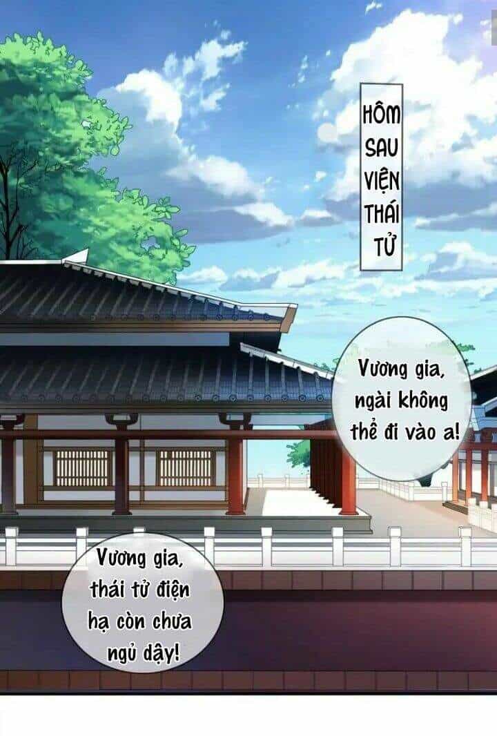 Thái Tử Điện Hạ Có Tin Vui - Chương 4 - ảnh 13