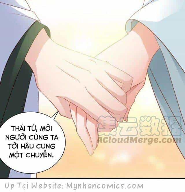 Thái Tử Điện Hạ Có Tin Vui - Chương 66 - ảnh 5