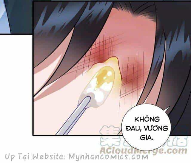Thái Tử Điện Hạ Có Tin Vui - Chương 68 - ảnh 3