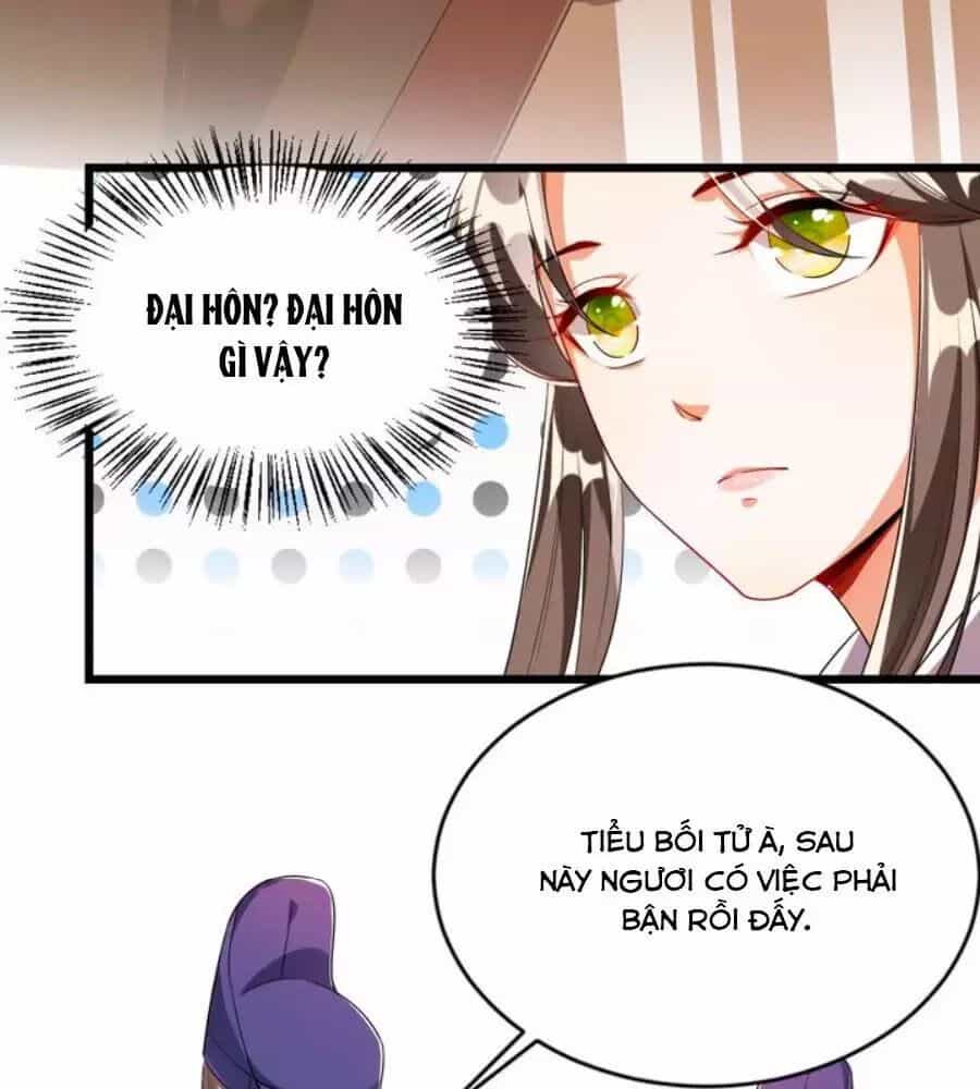 Thái Tử Điện Hạ, Nô Tài Có Hỉ Rồi - Chương 26 - ảnh 55