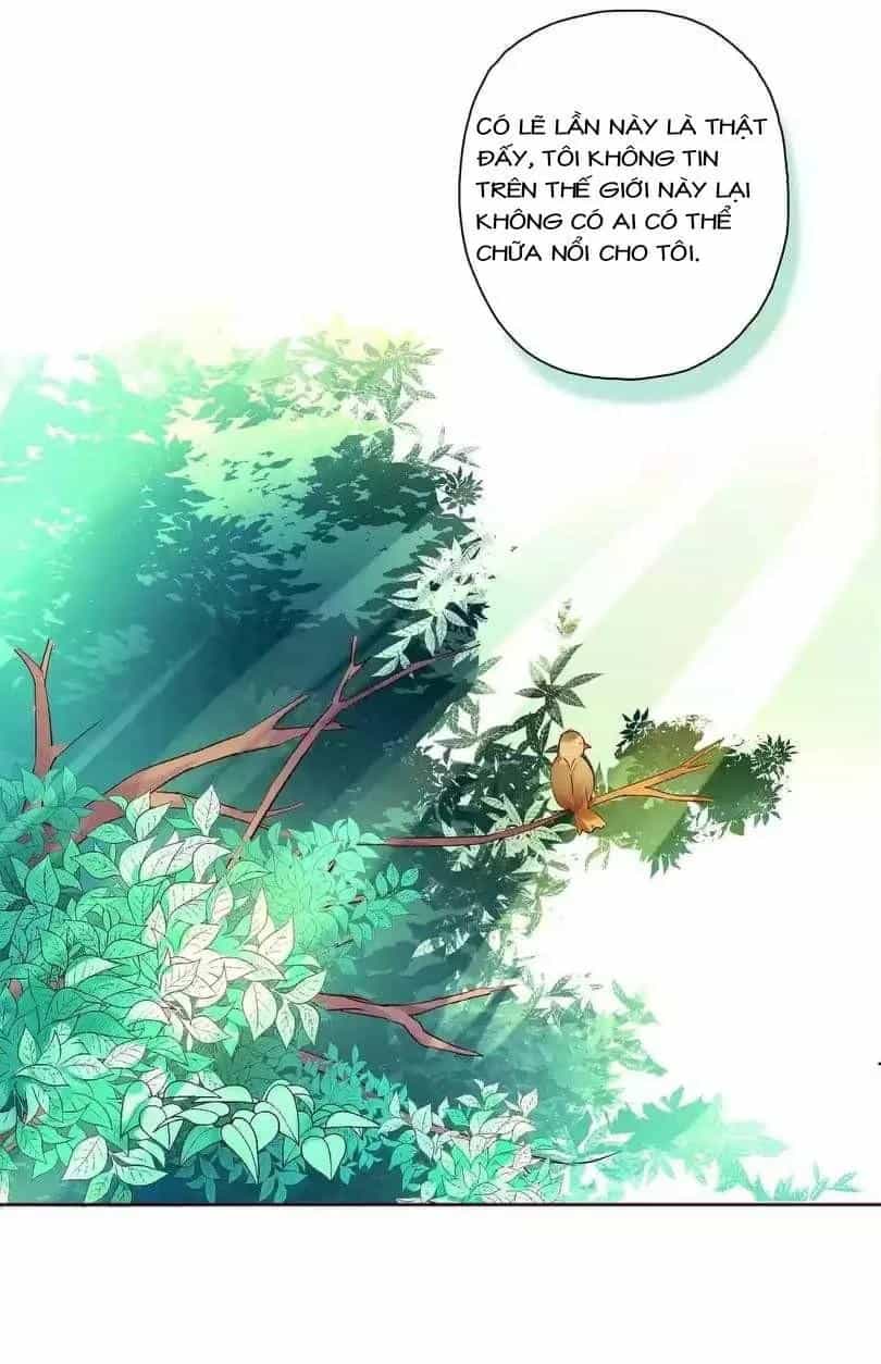 Thâm Hải Ma Ngữ - Chương 3 - ảnh 17