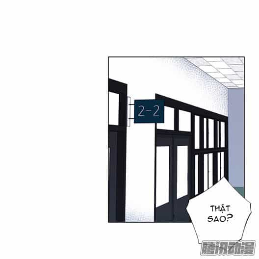 Thảm Họa Mã 0 - Chương 13 - ảnh 31