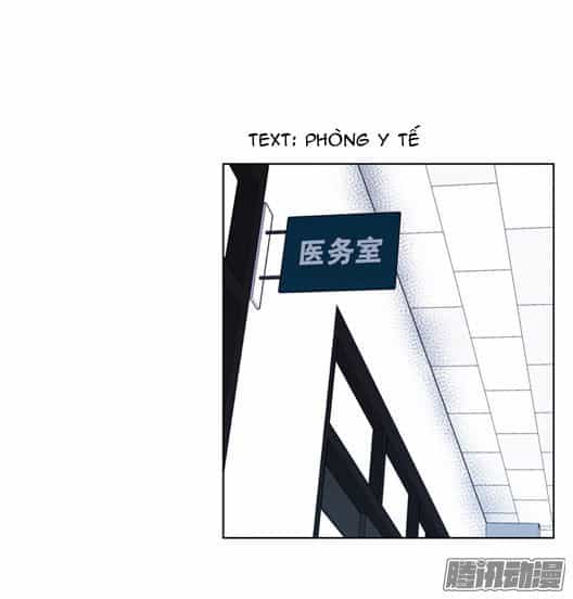Thảm Họa Mã 0 - Chương 13 - ảnh 41