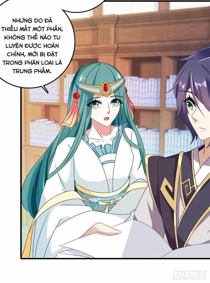 Thần Hồn Võ Đế - Chương 13 - ảnh 26