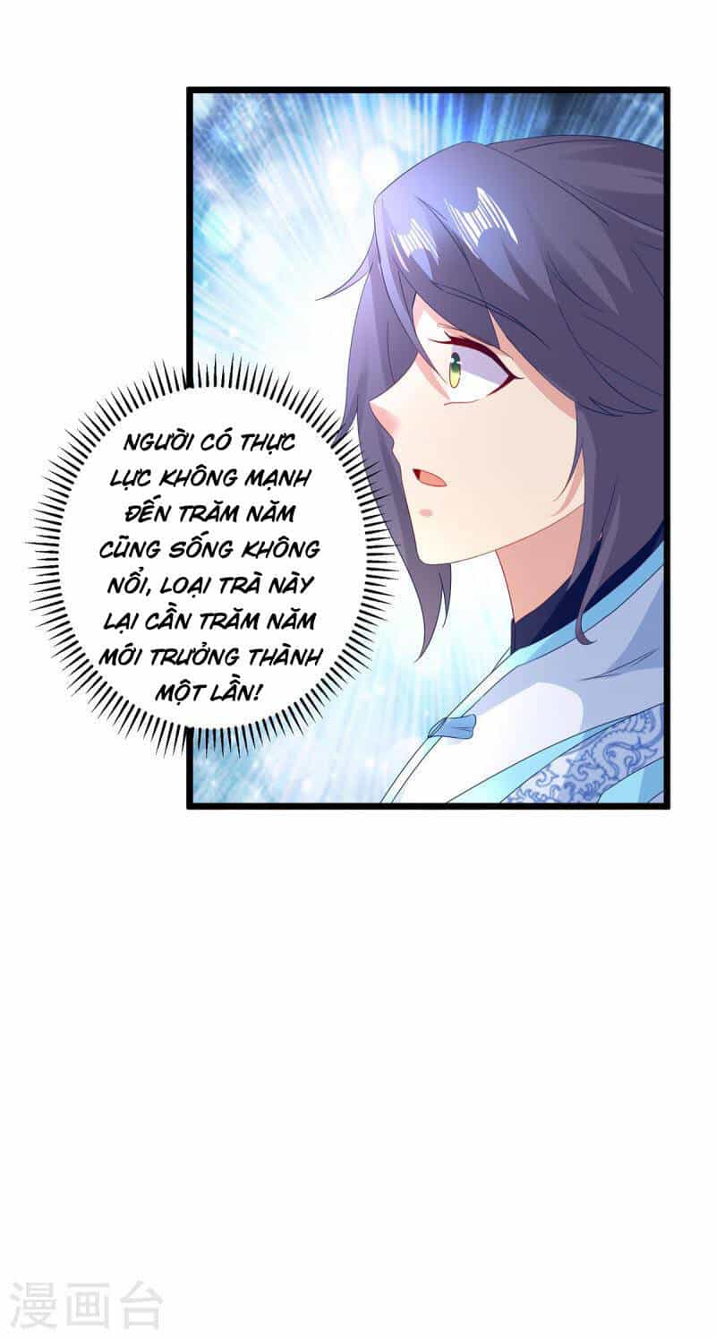 Thần Hồn Võ Đế - Chương 177 - ảnh 16