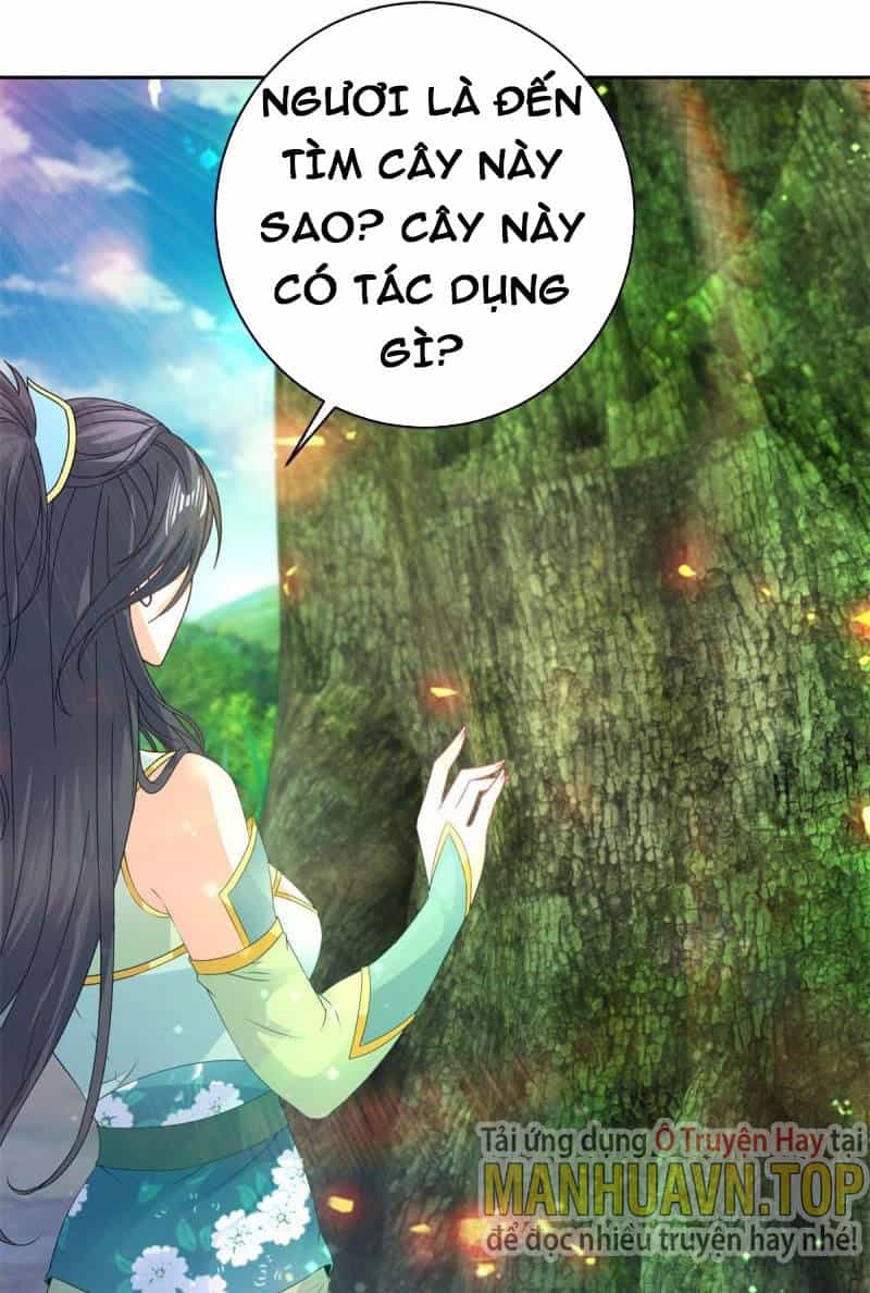 Thần Hồn Võ Đế - Chương 243 - ảnh 1