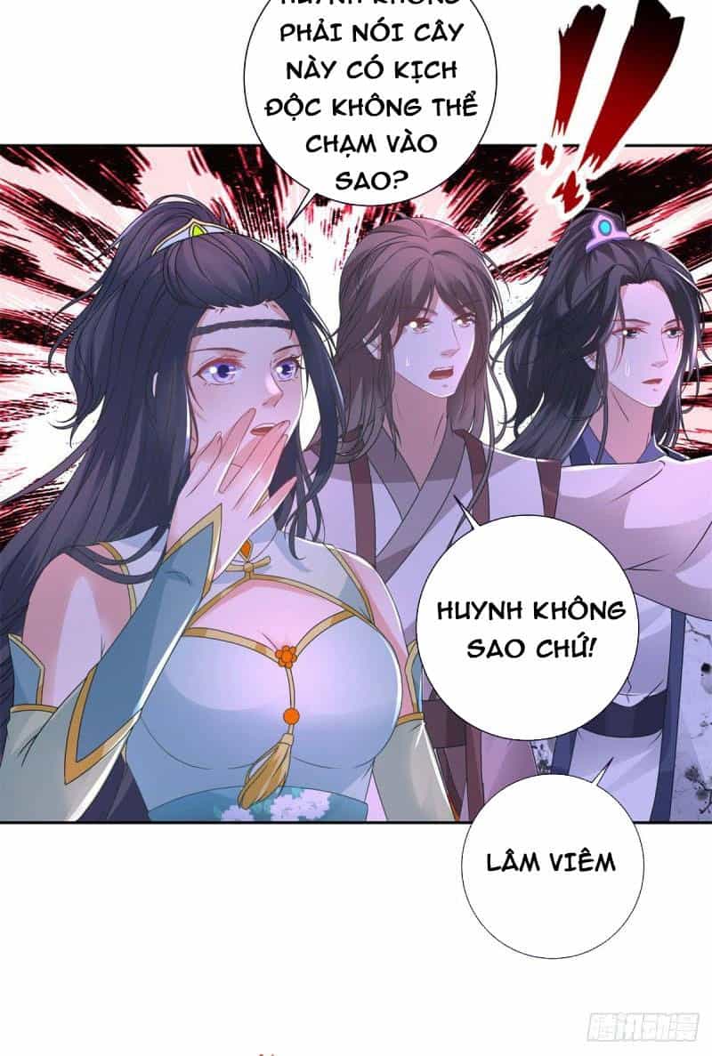Thần Hồn Võ Đế - Chương 243 - ảnh 16