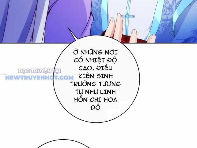 Thần Hồn Võ Đế - Chương 418 - ảnh 45