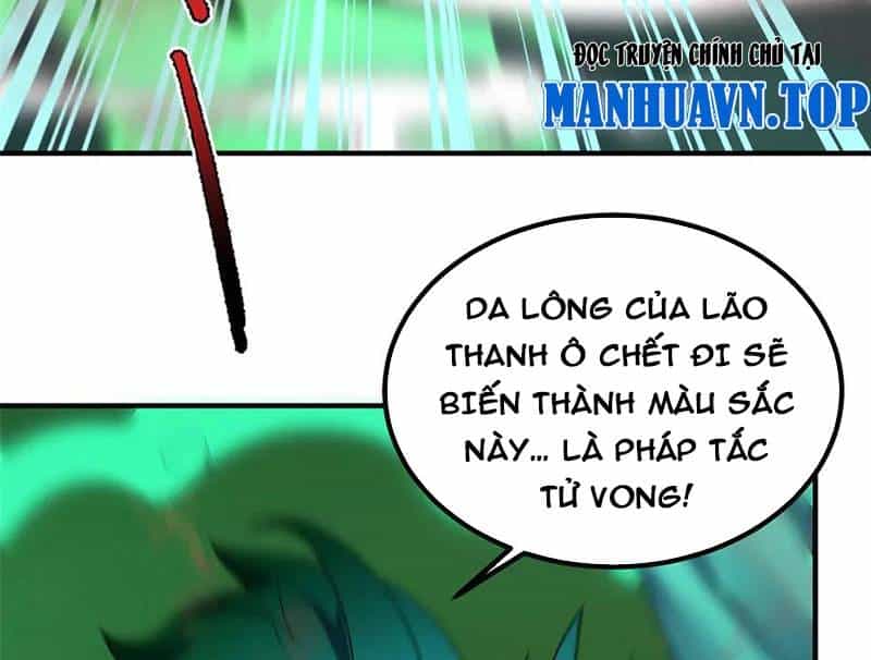 Thần Sủng Tiến Hóa - Chương 343 - ảnh 33