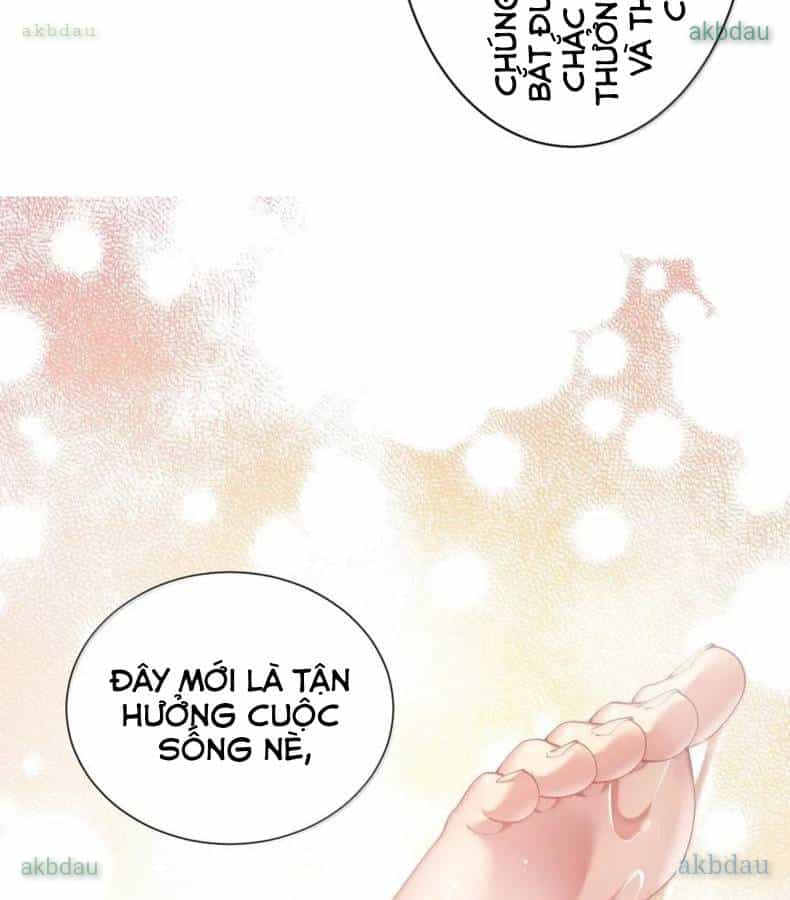 Thánh Nữ, Xin Hãy Dừng Ngay Những Trò Quái Đản Của Cô Đi!! - Chương 138 - ảnh 39