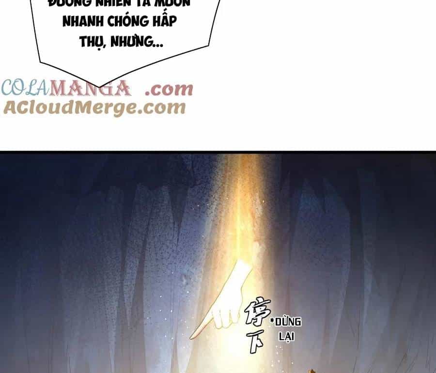 Thánh Nữ, Xin Hãy Dừng Ngay Những Trò Quái Đản Của Cô Đi!! - Chương 82 - ảnh 20