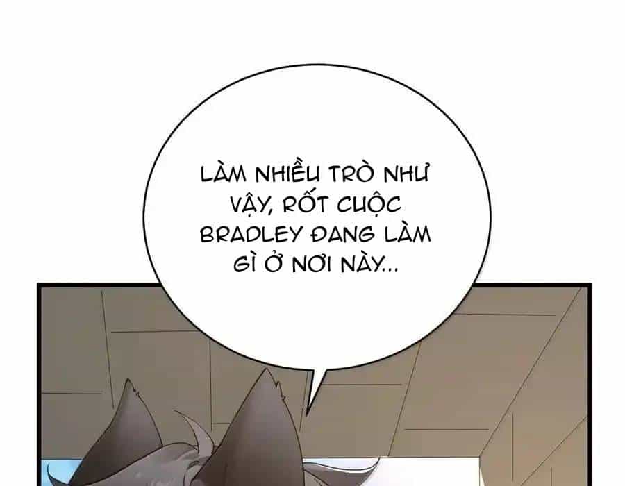 Thánh Nữ, Xin Hãy Dừng Ngay Những Trò Quái Đản Của Cô Đi!! - Chương 92 - ảnh 31