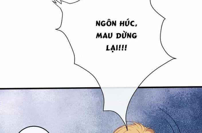 Thập Nhị Hắc Miêu - Chương 12 - ảnh 27