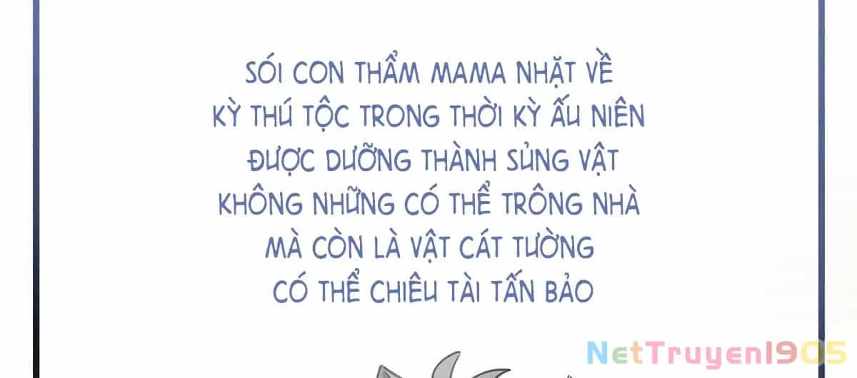 Thê Chủ, Thỉnh Hưởng Dụng - Chương 0 - ảnh 44