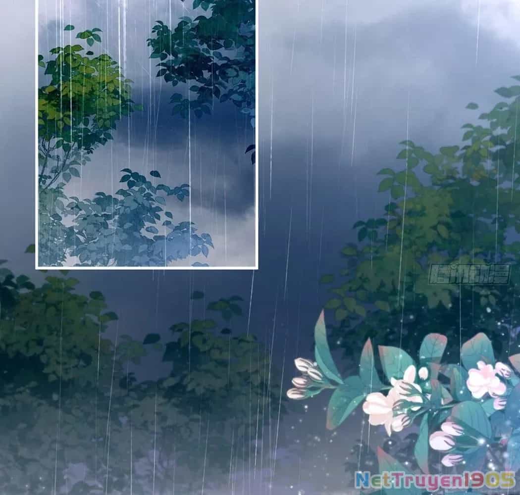 Thê Chủ, Thỉnh Hưởng Dụng - Chương 1 - ảnh 64