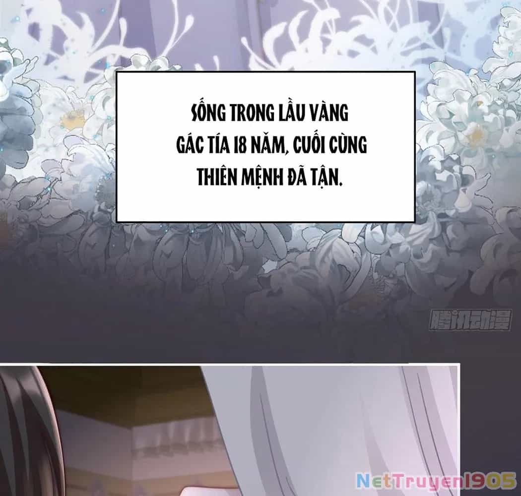 Thê Chủ, Thỉnh Hưởng Dụng - Chương 1 - ảnh 84