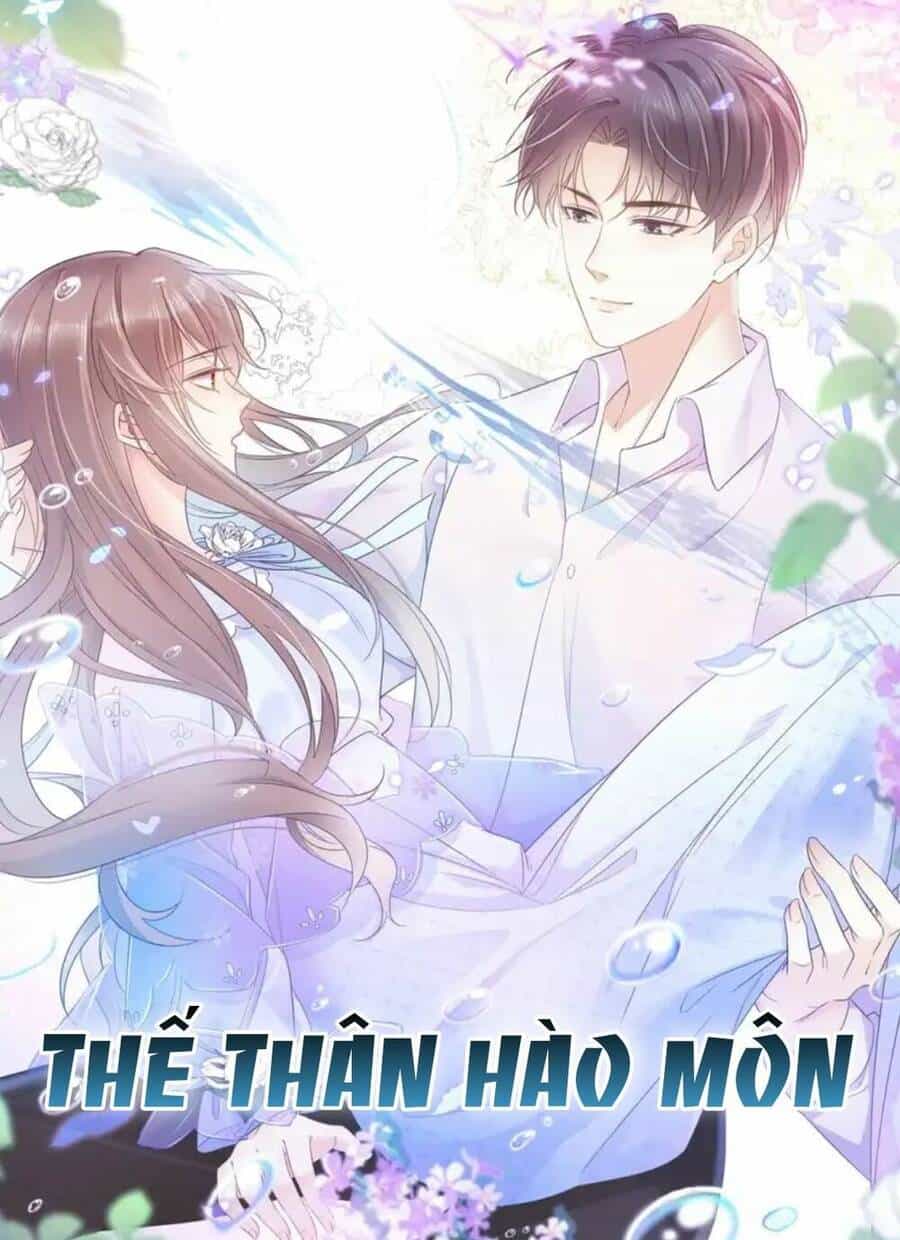 Thế Thân Hào Môn - Chương 2 - ảnh 1