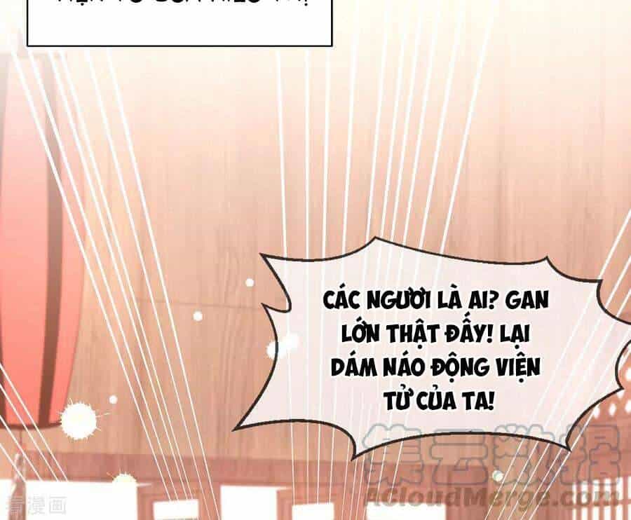Thị Huyết Y Phi - Chương 118 - ảnh 10