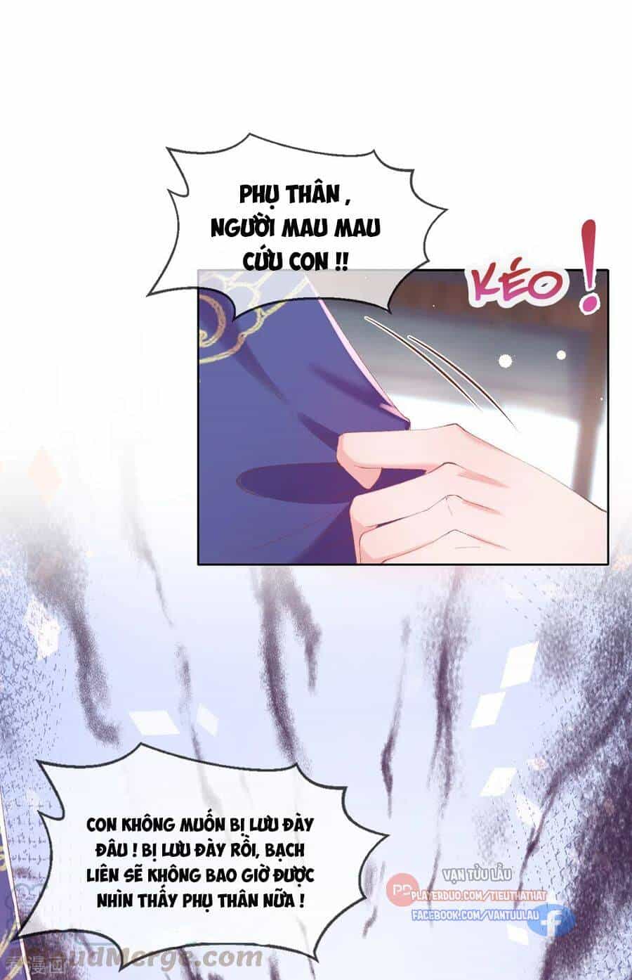Thị Huyết Y Phi - Chương 120 - ảnh 15